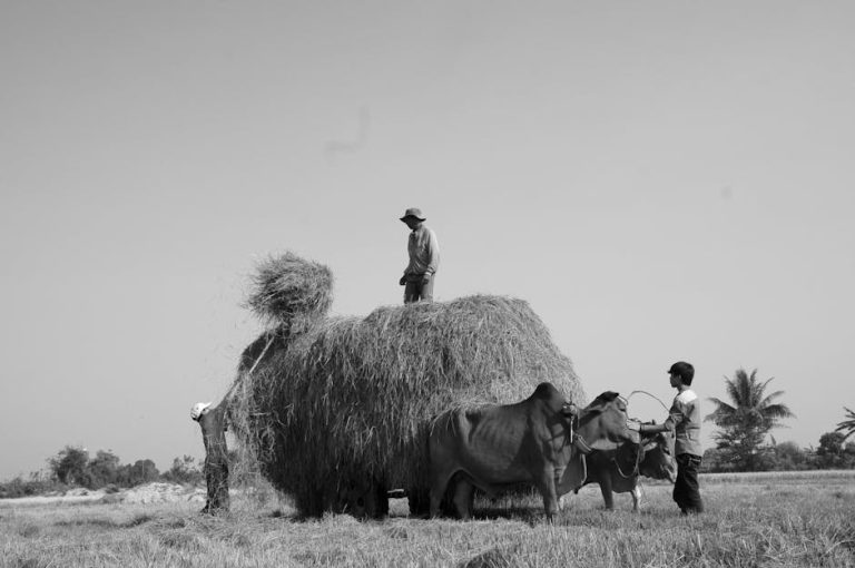 cuantos-tipos-de-ia-hay