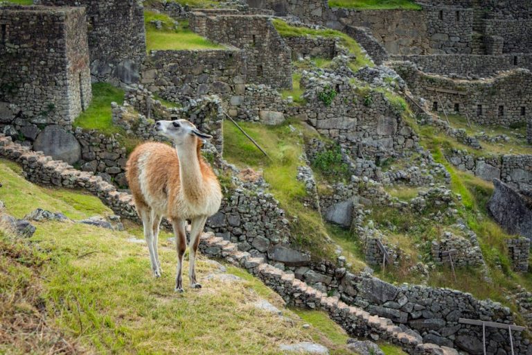 como-se-llama-la-ia-que-escribe-textos