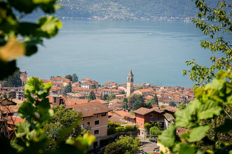 como descargar una ia