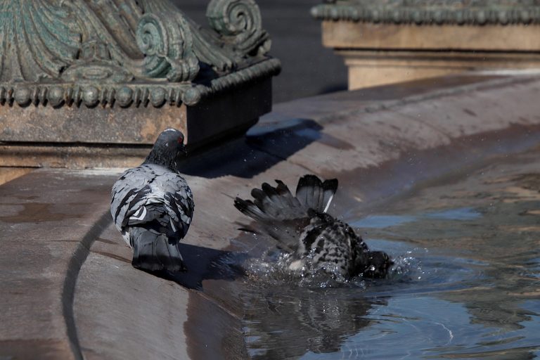 como se llama la ia de elon musk