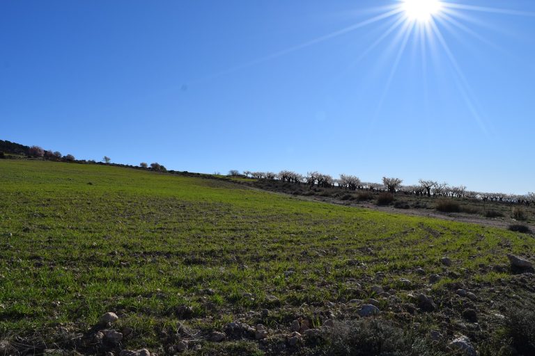 ventajas e inconvenientes de la ia