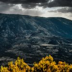 cual es la app de inteligencia artificial gratis