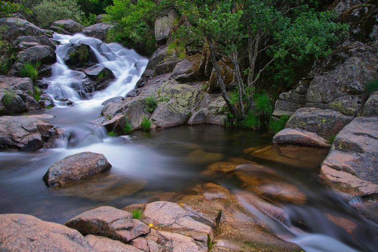 cual es la pagina de inteligencia artificial