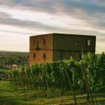 russell y norvig cuántos tipos de inteligencia artificial existen