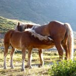 como quitar la ropa de una foto con inteligencia artificial