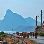 como se verian mis hijos con inteligencia artificial