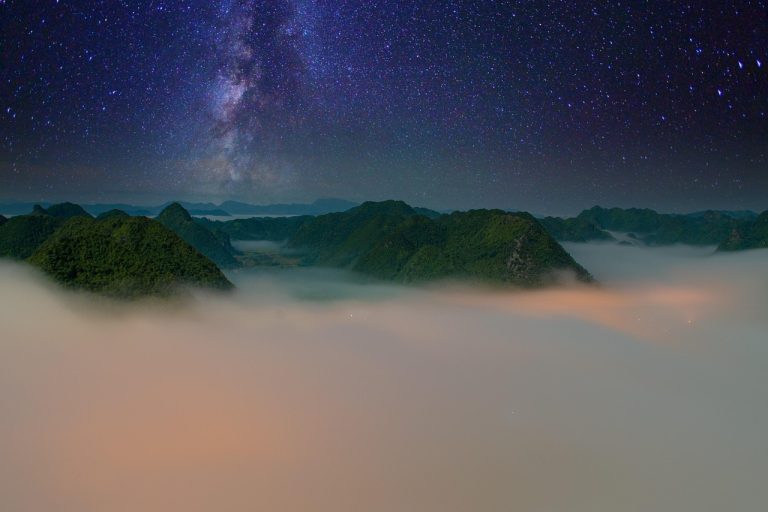 cuales son los tipos de ia