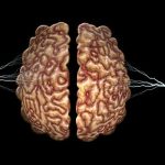 donde encontramos inteligencia artificial