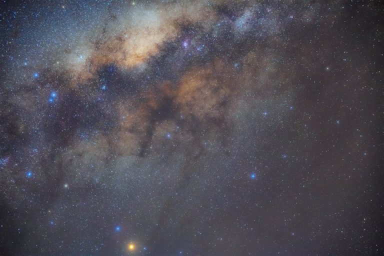 como vectorizar una imagen con ia