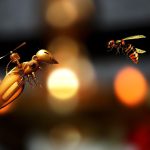 autoconciencia inteligencia artificial ejemplos