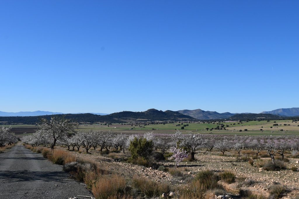 cual es el origen de la ia