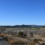 cual es el origen de la ia