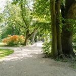 cuanto gana un ingeniero de inteligencia artificial