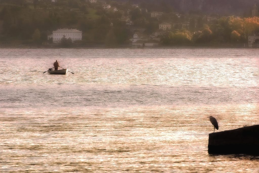 como usar imagen ia de google