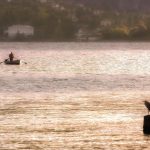 como usar imagen ia de google