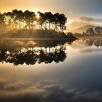 cuales son las ia mas usadas